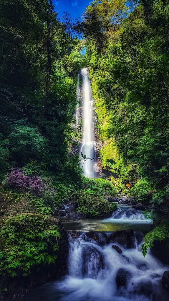 Tall jungle waterfall framed by greenery and pink flowers